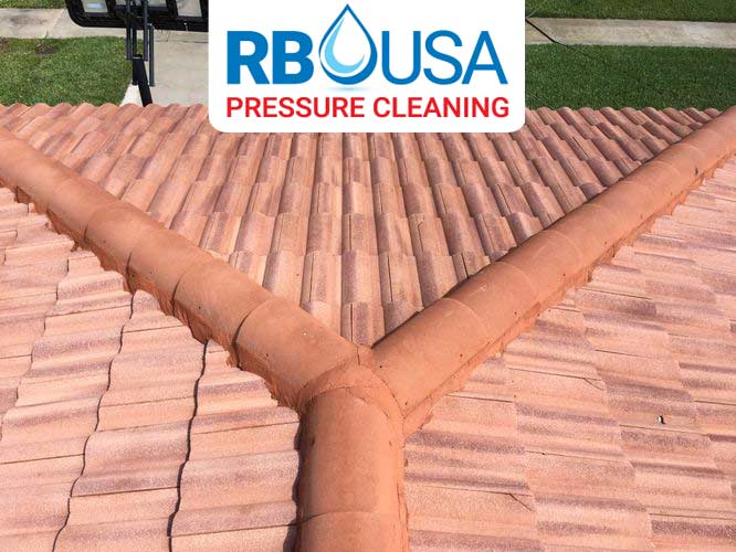 RBUSA-driveway-Pressure-Cleaning-after-2019-02